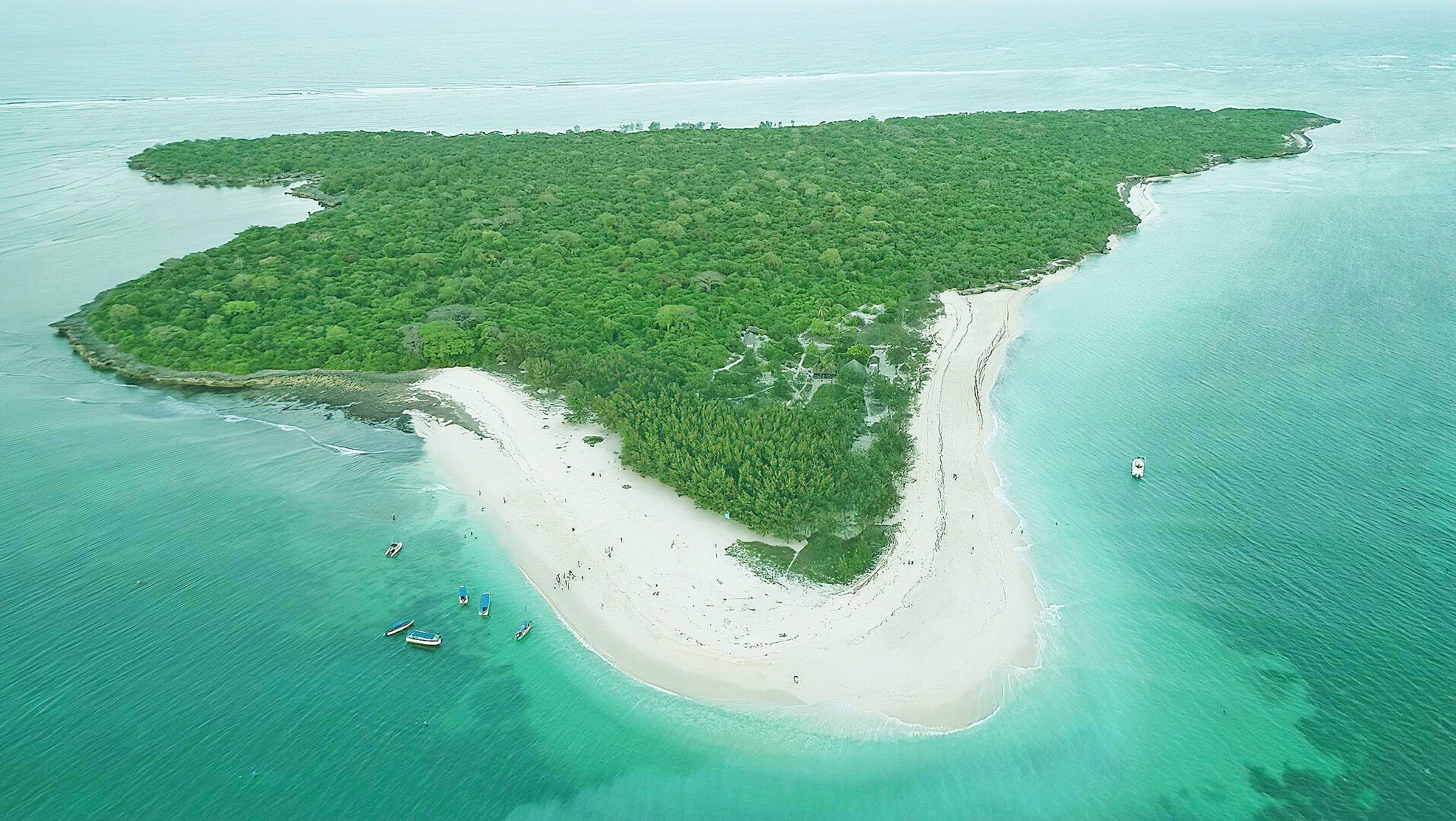Mbudya Island tropical beach